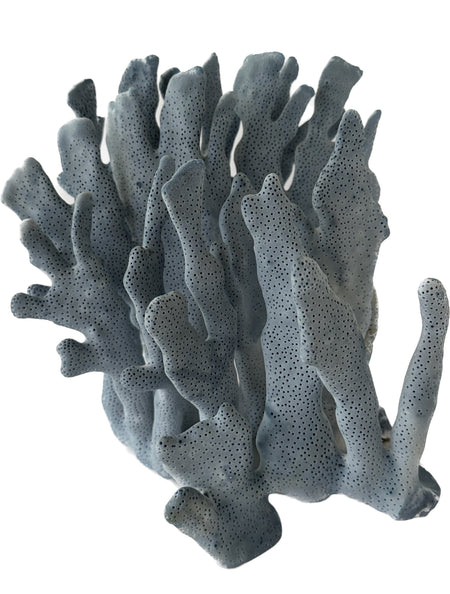 D3014 - Blue Coral