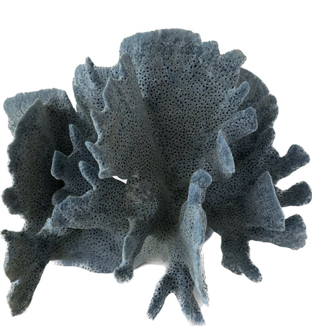 D3011 - Blue Coral