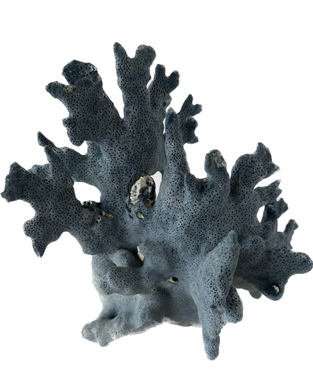D3013 - Blue Coral
