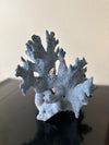 D3013 - Blue Coral