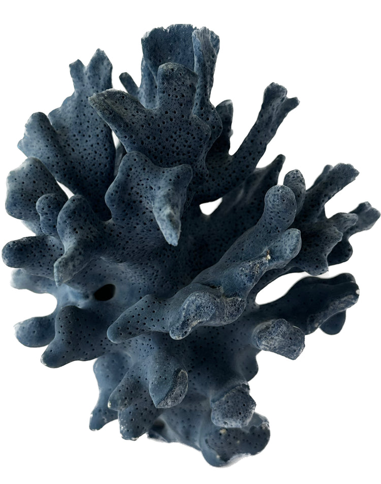 D3012 - Blue coral