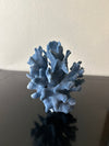 D3012 - Blue coral